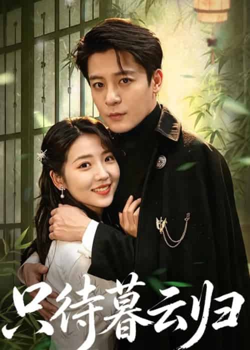 只待暮云归(70集全)李海蒂&丁敬一-紫橙网创项目网