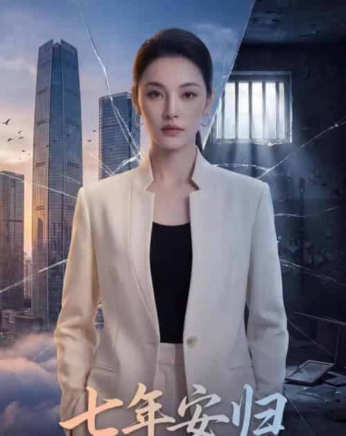 七年安归(47集全)Ai-紫橙网创项目网