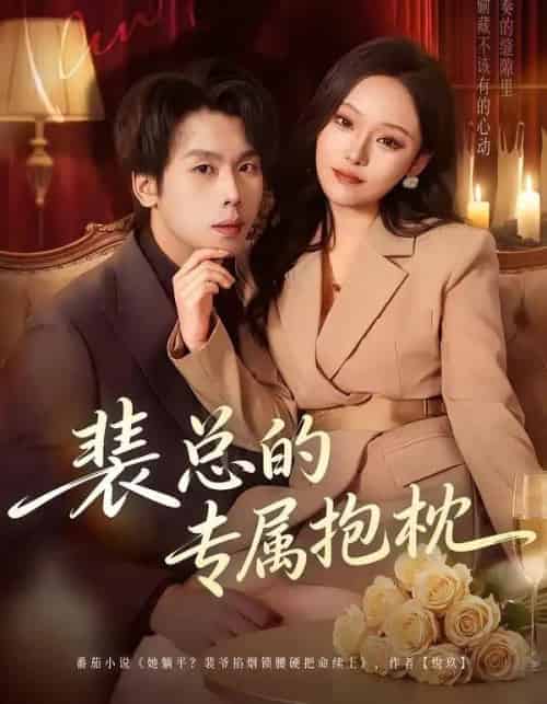 裴总的专属抱枕（78集全）艾江山＆橘子 - 紫橙阁短剧