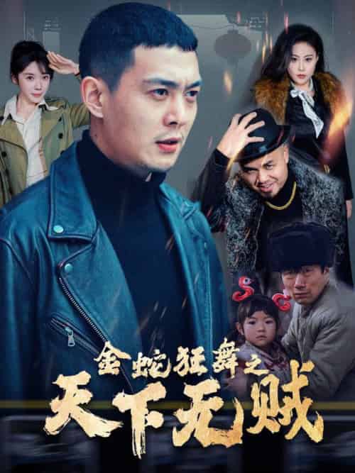 金蛇狂舞之天下无贼（52集全）钱谦 - 紫橙阁短剧