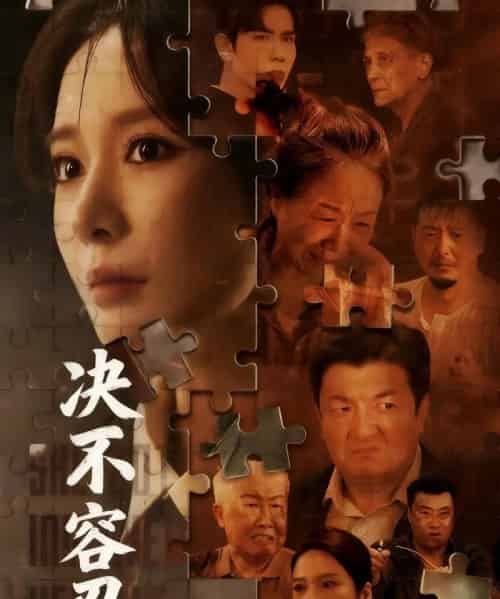 决不容忍＆以身入局的她（70集全）马星烁＆王小橙-紫橙网创项目网