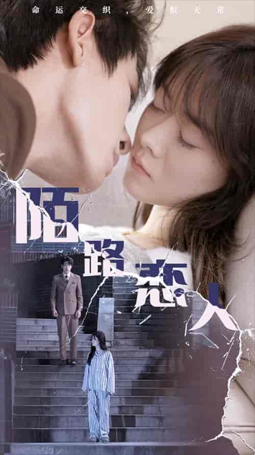 02-陌路恋人（80集） - 紫橙阁短剧