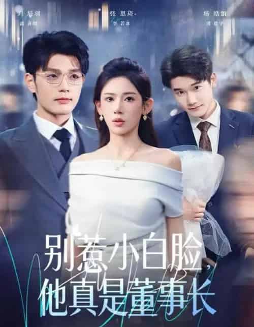 别惹小白脸，他真是董事长（68集全）张思琦＆刘宸羽-紫橙网创项目网