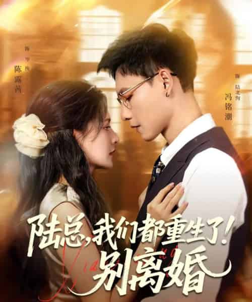 陆总我们都重生了别离婚（79集）冯铭潮＆陈露茜 - 紫橙阁短剧