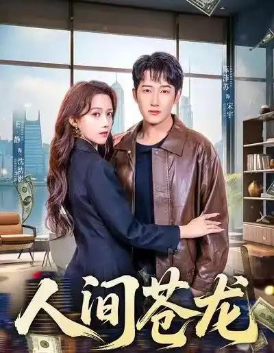 人间苍龙（60集全）王静＆陈沛苏-紫橙网创项目网