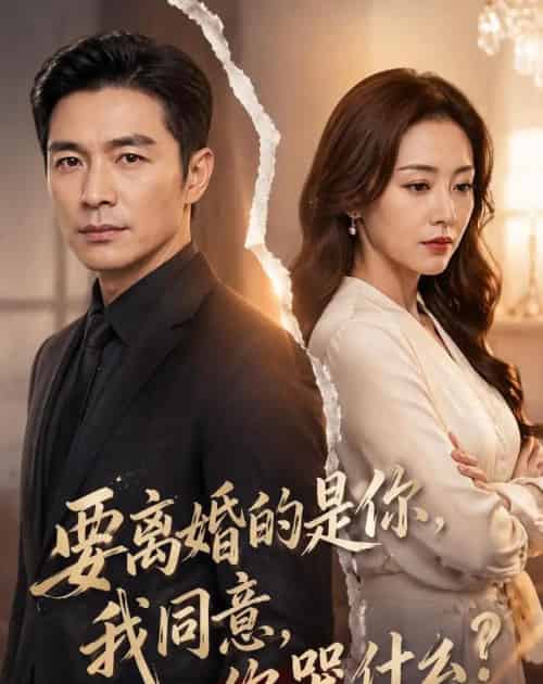 要离婚的是你，我同意，你哭什么？（45集全）AI - 紫橙阁短剧