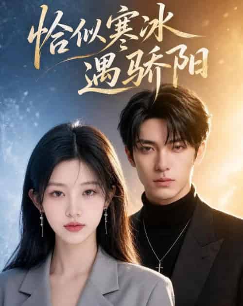 恰似寒冰遇骄阳(114集全)AI-紫橙网创项目网