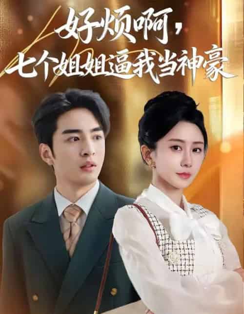 好烦啊,七个姐姐逼我当神豪(80集全)李启歌&鹿菲儿-紫橙网创项目网
