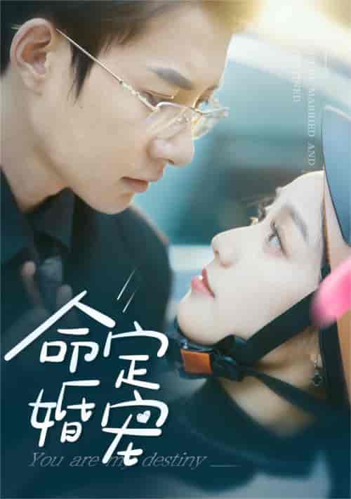 命定婚宠（61集） - 紫橙阁短剧
