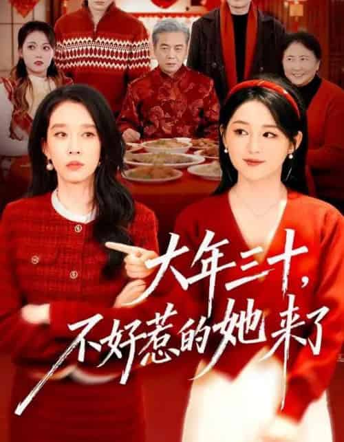 大年三十,不好惹的她来了(60集全)刘博洋&崔秀子-紫橙网创项目网