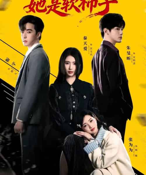 假千金她是软柿子（72集全）朱旻昕＆秦天爱-紫橙网创项目网