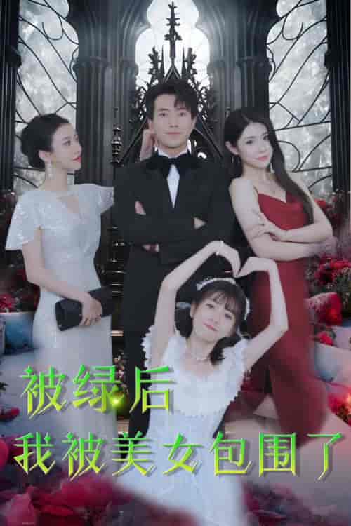 被绿后我被美女包围了（97集） - 紫橙阁短剧
