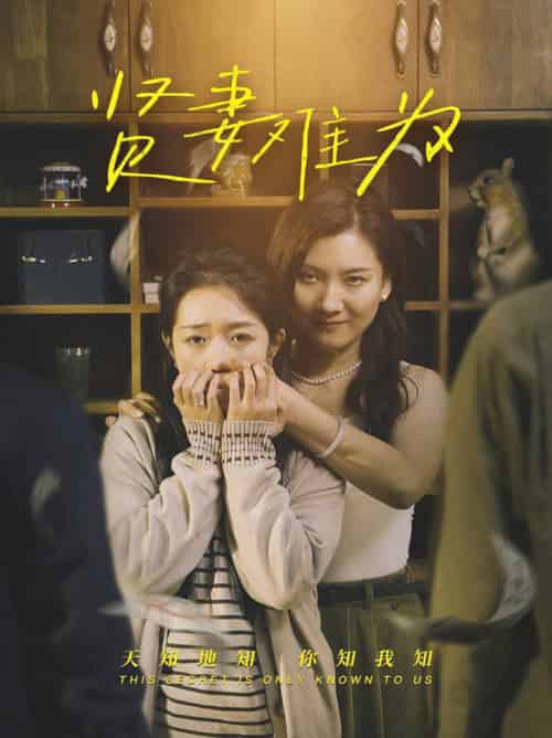 贤妻难为（30集全）张文静＆罗央央 - 紫橙阁短剧