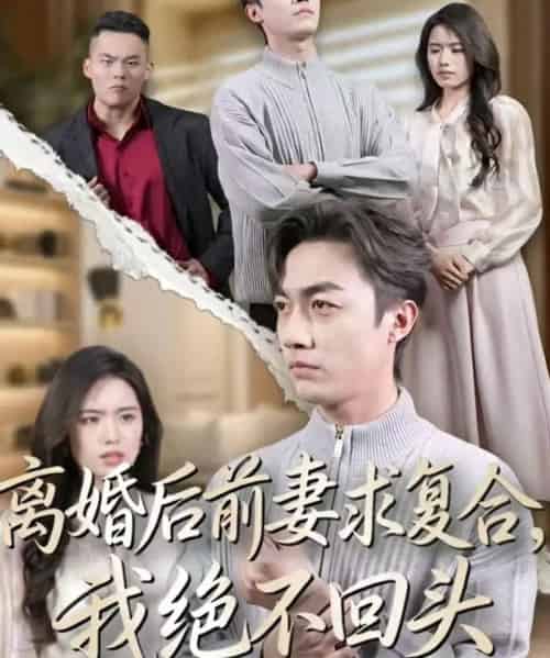 离婚后前妻求复合，我绝不回头（40集全）盘书瑶＆白安澈-紫橙网创项目网