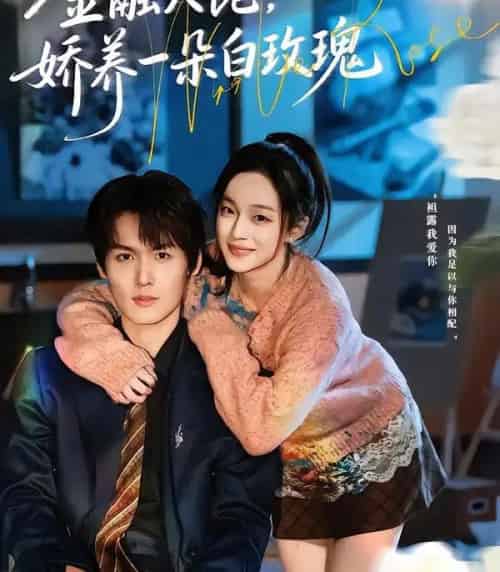 金融大佬，娇养一朵白玫瑰（70集全）董玥妤＆周昊杉-紫橙网创项目网
