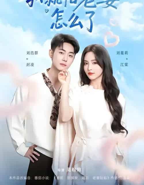 我就怕老婆怎么了（88集全）刘浩群＆刘蔓莉-紫橙网创项目网