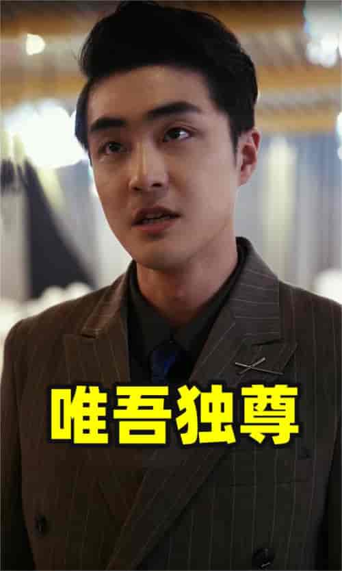 唯吾独尊（96集） - 紫橙阁短剧