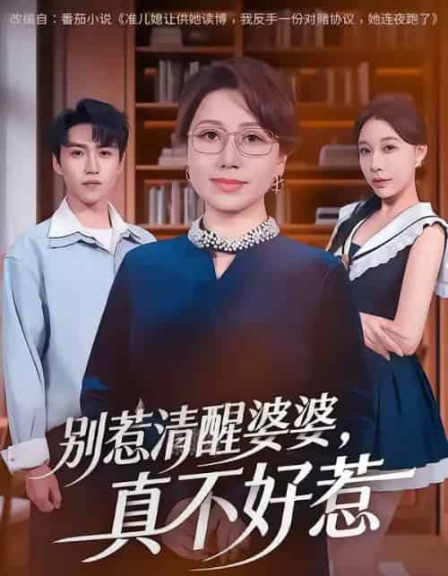 别惹清醒婆婆,真不好惹(80集全)金金&天天-紫橙网创项目网