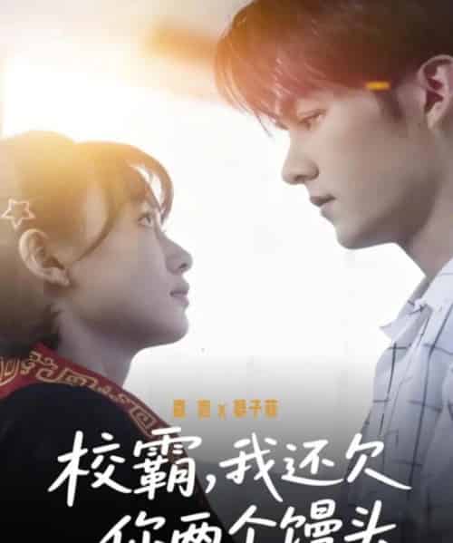 校霸,我还欠你两个馒头(60集全)嘉言&宴子菲-紫橙网创项目网