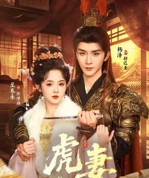 虎妻（64集全）杨泽＆至春禾-紫橙网创项目网