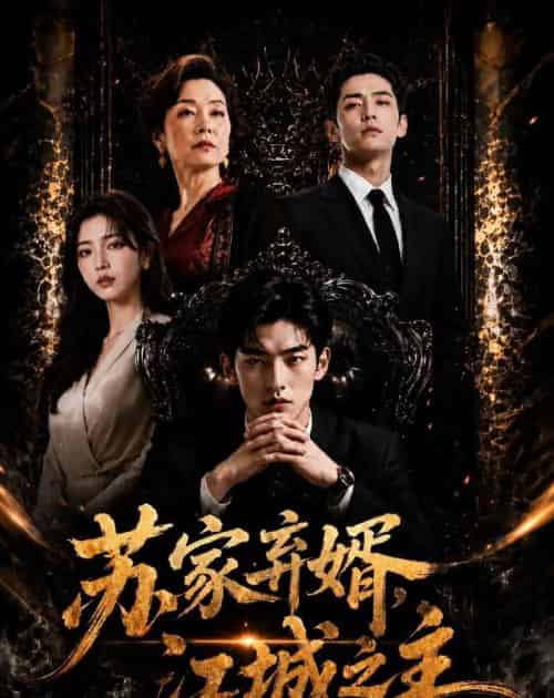 苏家弃婿,江城之主(43集全)AI-紫橙网创项目网