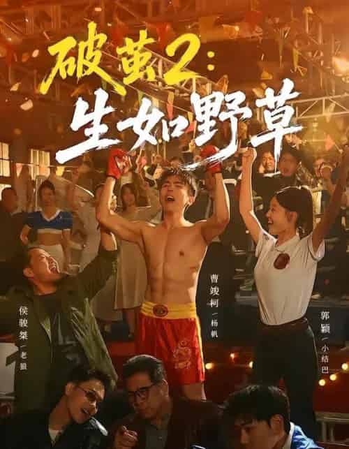 破茧2:生如野草(55集全)曹竣柯&郭颖-紫橙网创项目网