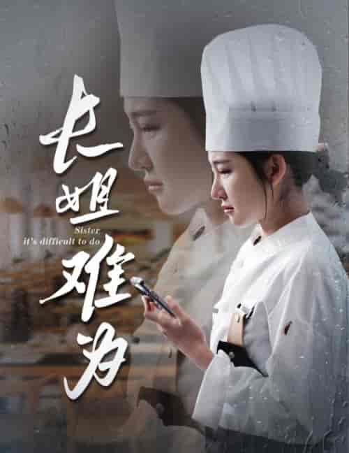 长姐难为（60集全）喻嘉琳 乐瑶 - 紫橙阁短剧