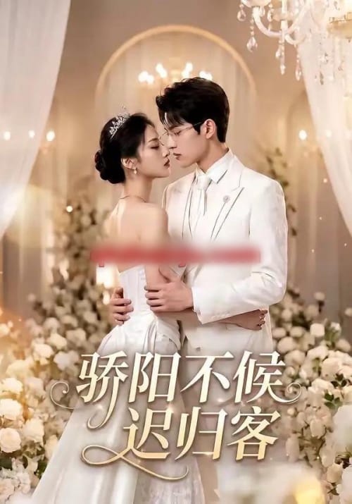 骄阳不候迟归客(59集全)AI短剧-紫橙网创项目网