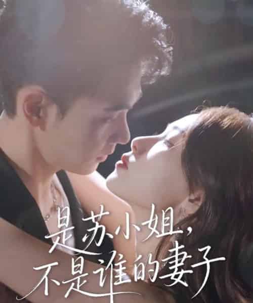 是苏小姐不是谁的妻子（39集全）郑子健＆杨沫-紫橙网创项目网