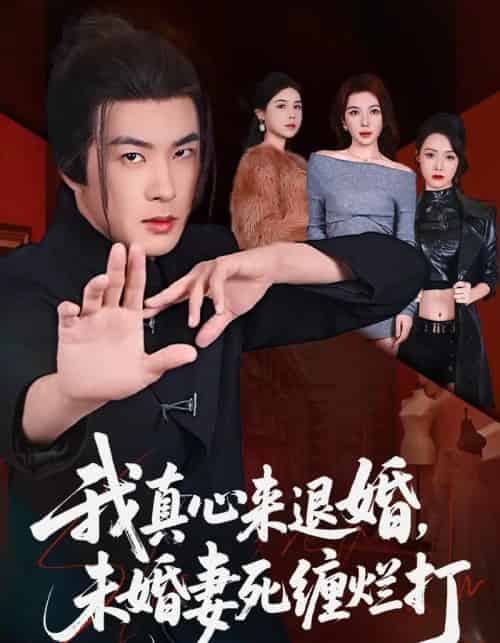 我真心来退婚，未婚妻死缠烂打（72集全）孔奇力＆吴美慧-紫橙网创项目网