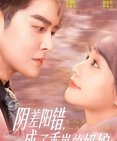 阴差阳错,成了乖崽的奶娘(69集全)王朝阳&赵由美-紫橙网创项目网