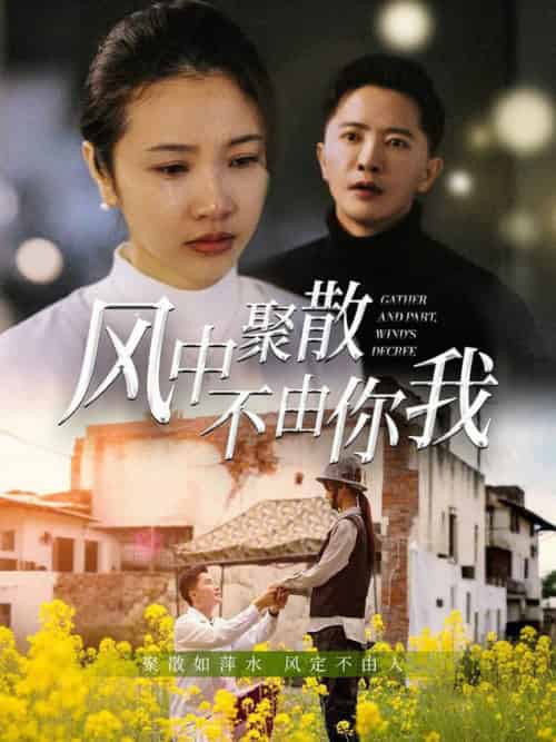 风中聚散不由你我（41集全）焦娜＆周湉羽 - 紫橙阁短剧