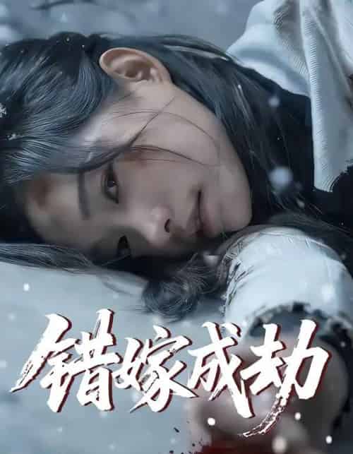 错嫁成劫(60集全)王向志&洪佳宁-紫橙网创项目网