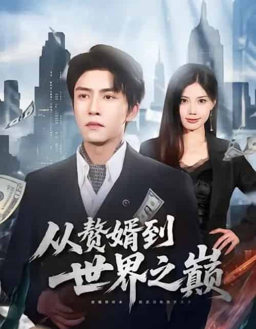 从赘婿到世界之巅(93集全)莫书铭&苏文文-紫橙网创项目网