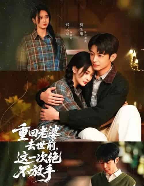 重回老婆去世前，这一次绝不放手（80集全）郑天奇＆贾羽馨-紫橙网创项目网