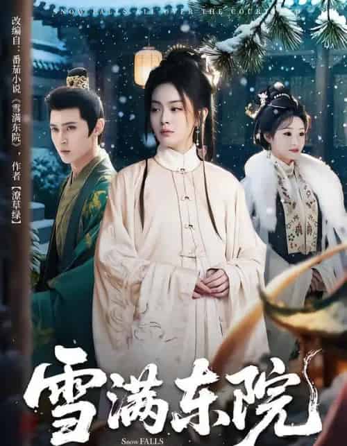 雪满东院（60集全）赵安第＆沈渡-紫橙网创项目网