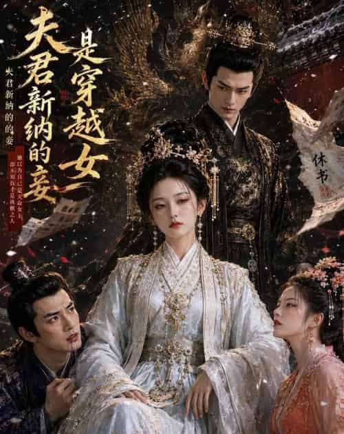 夫君新纳的妾是穿越女 夫君新纳的妾是穿越女