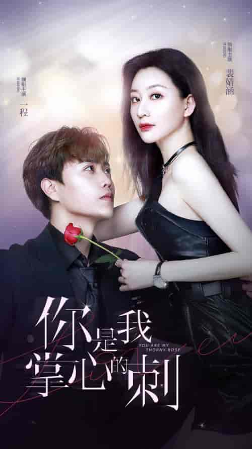 你是我掌心的刺（100集） - 紫橙阁短剧