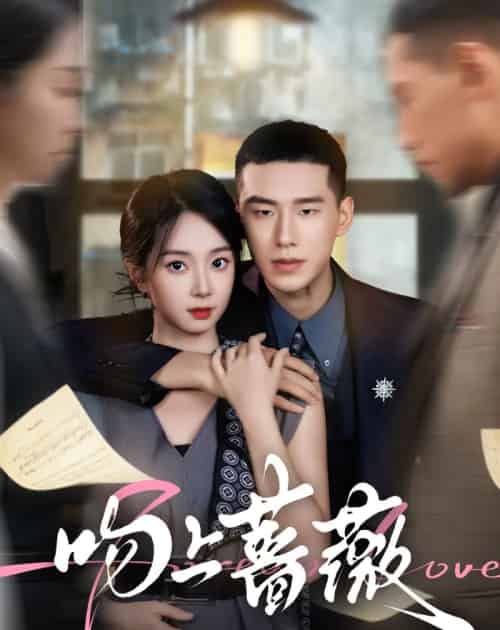 吻上蔷薇（85集全）王慧龙＆张紫菡 - 紫橙阁短剧