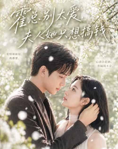 霍总别太爱,夫人她只想搞钱(66集全)AI-紫橙网创项目网