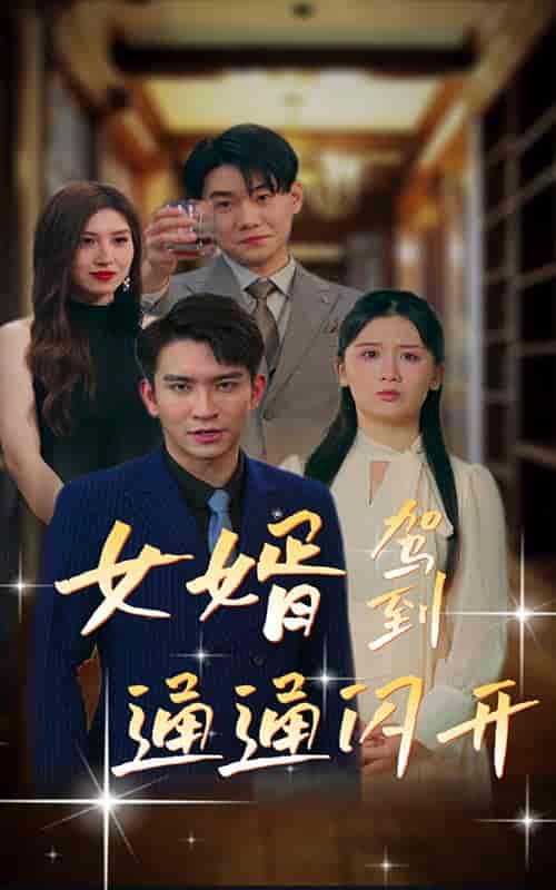 女婿驾到，通通闪开（34集） - 紫橙阁短剧