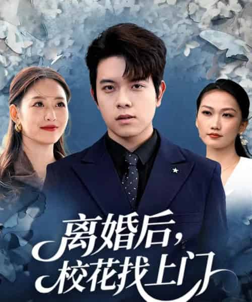离婚后，校花找上门（80集全）姜沣＆黄斯琪-紫橙网创项目网