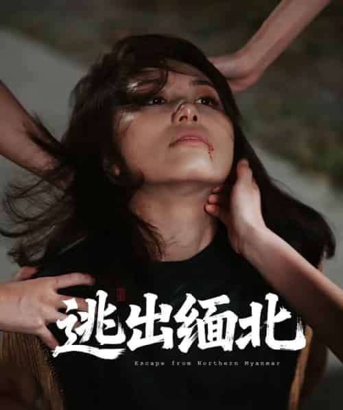 逃出缅北（62集）刘振安＆汪芷萱 - 紫橙阁短剧
