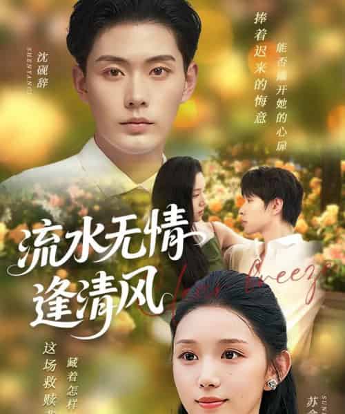 流水无情逢清风 （77集） 代嘉莉 - 紫橙阁短剧