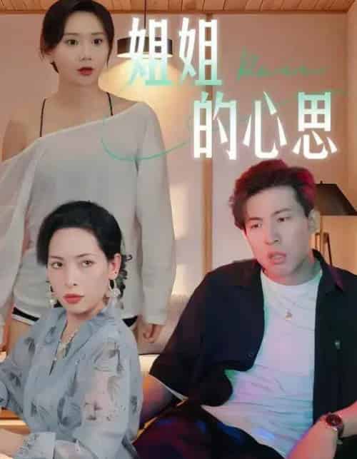 姐姐的心思 (20集全) 陈安&王瑶-紫橙网创项目网