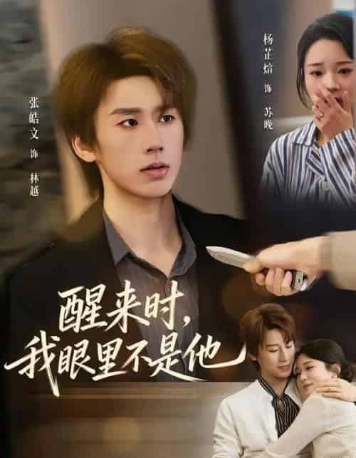 醒来时,我眼里不是他(36集全)杨芷煊&张皓文-紫橙网创项目网