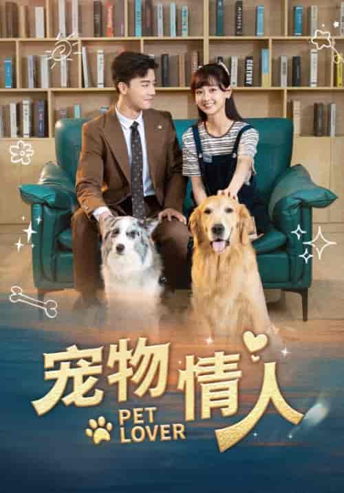 宠物情人（42集全）霍嘉许＆殷悦 - 紫橙阁短剧