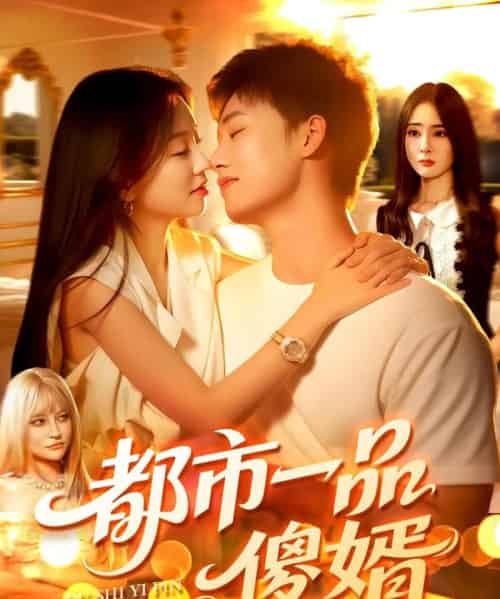 都市一品傻婿 （96集） - 紫橙阁短剧