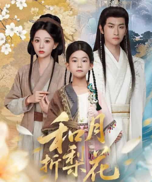 和月折梨花（80集全）毛祁生＆吴伊纯-紫橙网创项目网