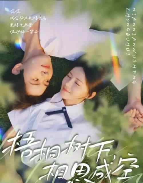 梧桐树下，相思成空（69集全）游雅＆刘家铭-紫橙网创项目网